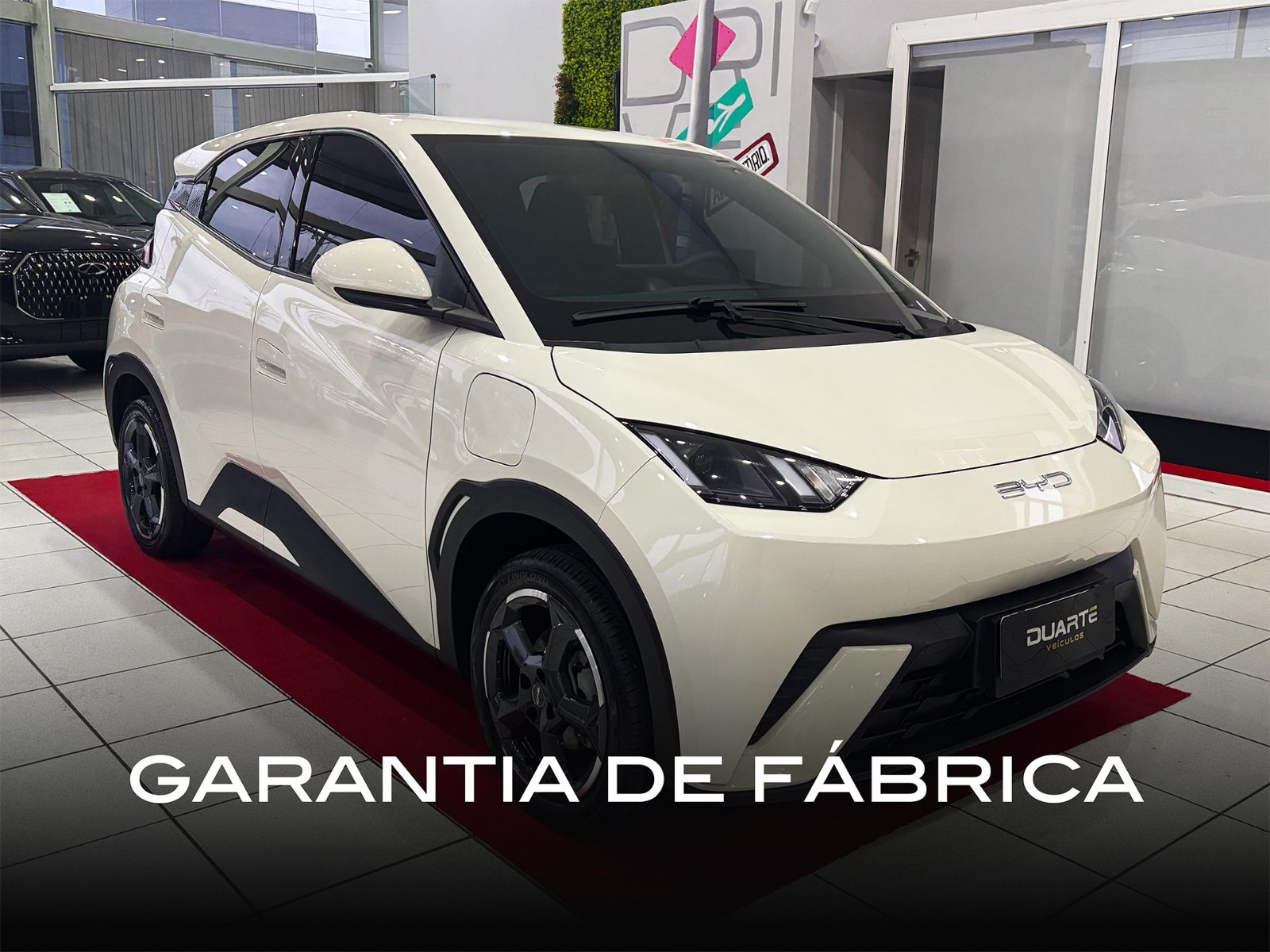 BYD Dolphin Mini GS (Elétrico) 2025