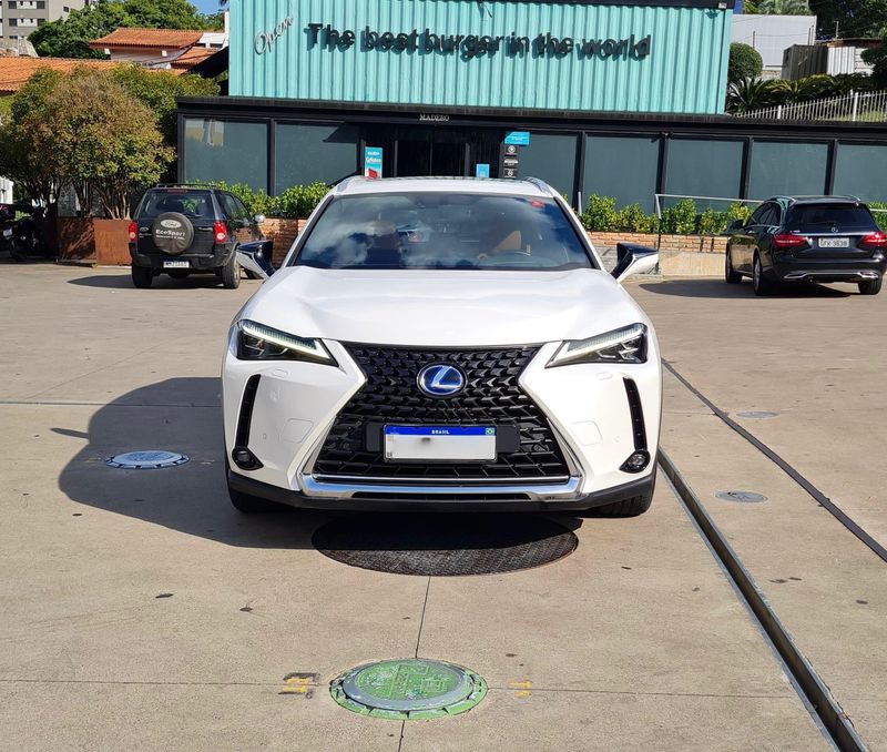 Lexus UX 250H 2.0 VVT-I HYBRID LUXURY CVT 2019